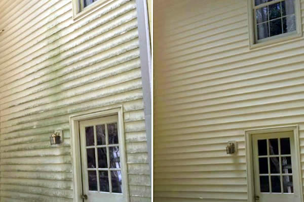 algae-removal-services