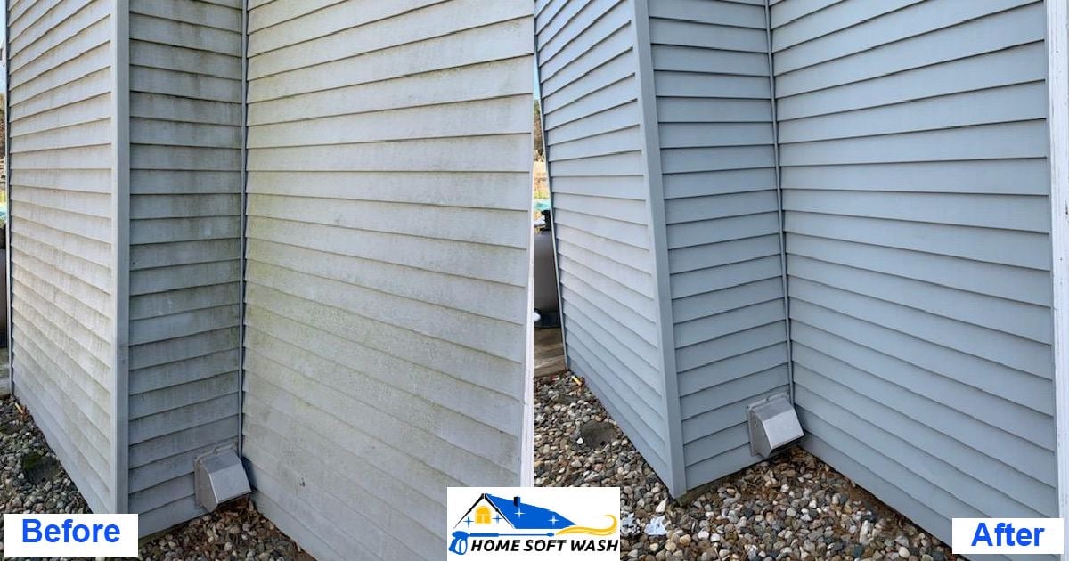 left side shows blue vinyl siding covered in green moss. right side shows clean bright blue siding